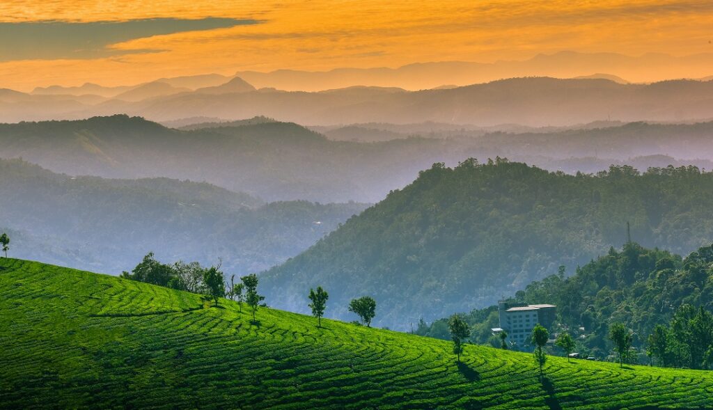 Munnar