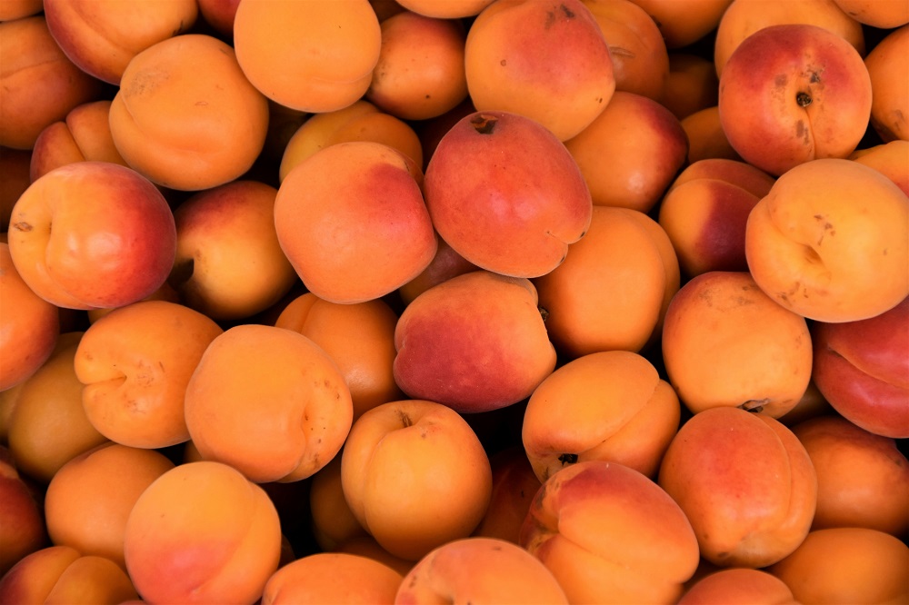 Apricots