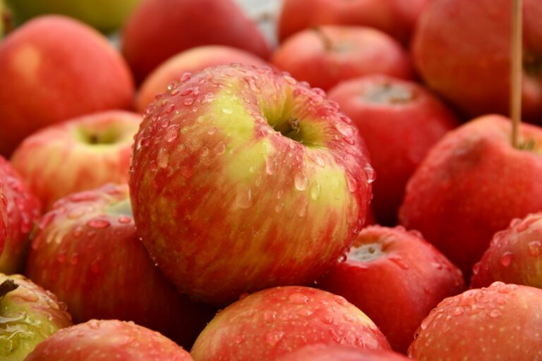 Health Benefits of Apples : Mohit Tandon Chicago