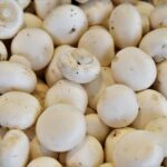 15 Health Benefits of Mushrooms : Mohit Tandon Chicago