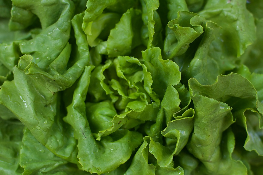 Leafy Green Vegetables